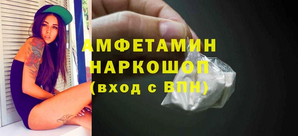 твердый Инта