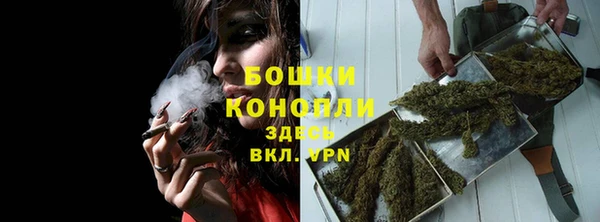 твердый Инта
