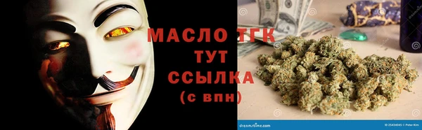 твердый Инта