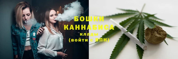 твердый Инта