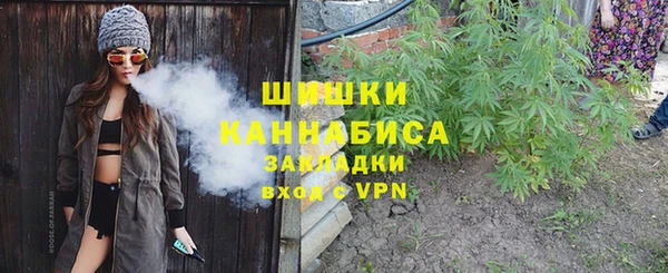 a pvp Инсар