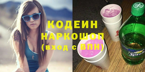 твердый Инта