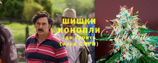 a pvp Инсар