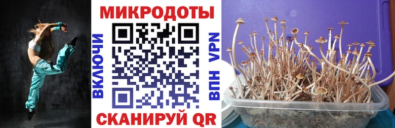Купить закладки  Щучье  Псилоцибиновые грибы мухоморы 